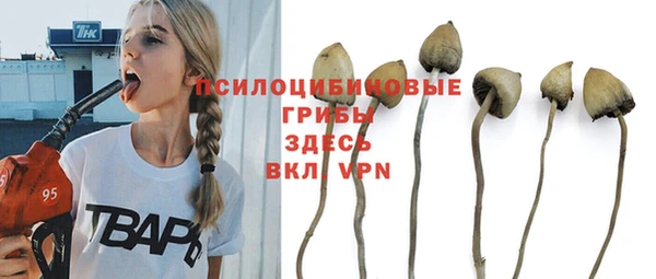 соль ск Протвино