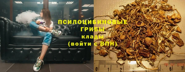 соль ск Протвино