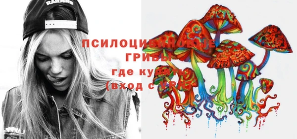 дурь Приозерск