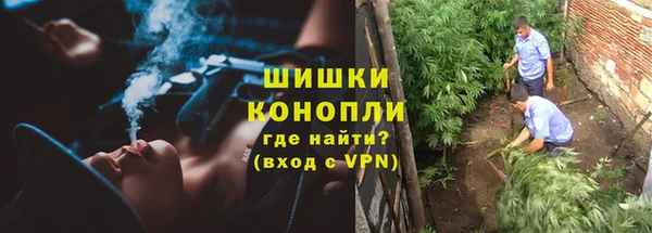 ALPHA-PVP Пролетарск