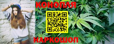 spice Ирбит