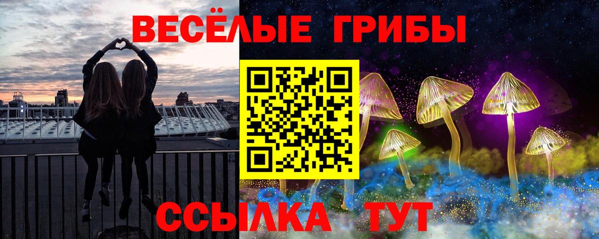 Сосновоборск  Галлюциногенные грибы Psilocybine cubensis  Вход с VPN  наркотики  Псилоцибиновые грибы MAGIC MUSHROOMS 