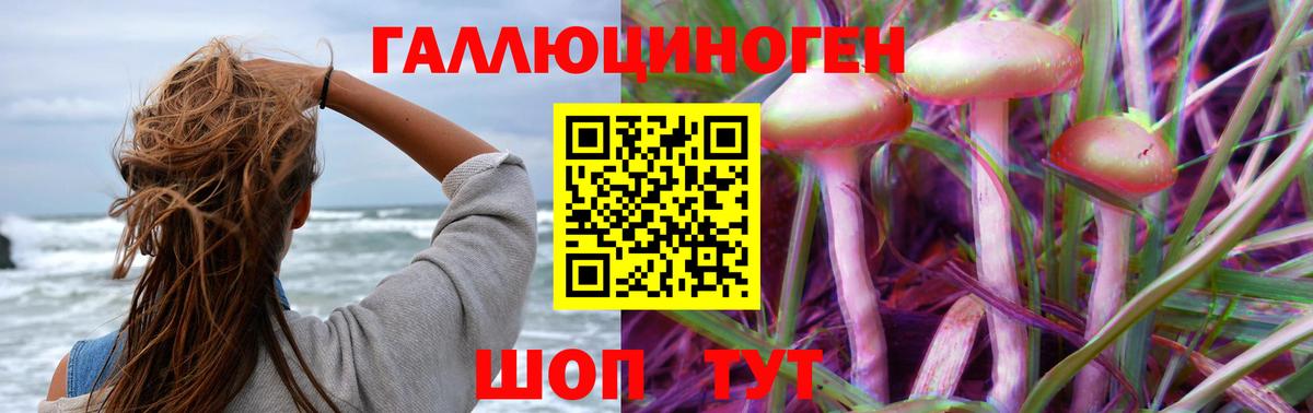 Галлюциногенные грибы прущие грибы  Сосновоборск  Галлюциногенные грибы ЛСД 
