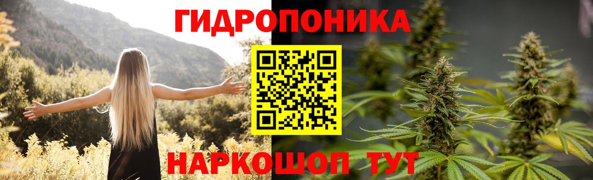 Конопля Ganja  Сосновоборск  Бошки марихуана ГИДРОПОН  Бошки Шишки гибрид 